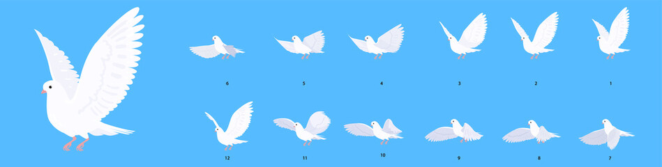 Wall Mural - a beautiful white dove. full cycle animation of a flying pigeon. set of illustrations in cartoon sty