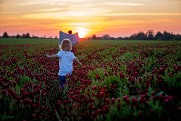 Canvas Print - Beautiful children, brothers in gorgeous crimson clover field on sunset,