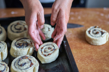 Wall Mural - Preparation of cinnamon rolls. A woman puts buns of buns on a baking tray.