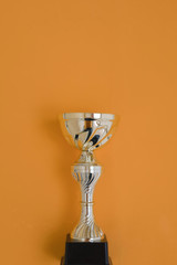 Prize sports cup on a yellow background.