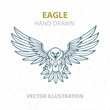Eagle. Attacking eagle hand drawn vector illustration. Engraving style eagle mascot.  Part of set.