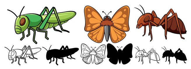 Canvas Print - Set of insect cartoon