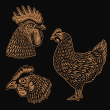 Set Of Illustrations Of Rooster, Chicken In Engraving Style. Design Element For Logo, Label, Sign, Poster, T Shirt. Vector Illustration