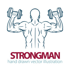 Muscular bodybuilder with dumbbells.  Strong male body hand drawn vector illustration. Bodybuilder power torso back view. Part of set. 