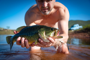 Wall Mural - Big Bass Large mouth - Fishing on lake