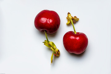 fresh delicious red cherries in the spring