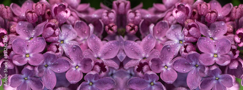 Banner spring flowering.