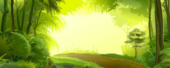 Wall Mural - road in the forest landscape. vector. beautiful view, green deciduous trees, shrubs, thickets. sprin