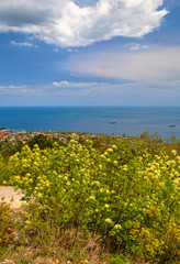 Beautiful landscape with blue sky, sea and fresh green forest