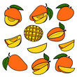 Set of color drawing mango isolated on white background. Sketch for coloring booking page. Vector illustration