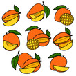 Set of color drawing mango isolated on white background. Sketch for coloring booking page. Vector illustration