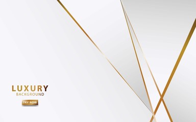 Wall Mural - modern white abstract background with golden line
