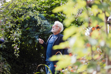 Senior Man Smoking Cigarette In The Garden