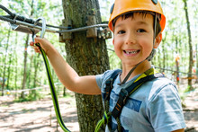 Boy On A High Rope Course In Forest