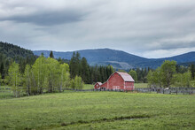 Red Barn In Springtime.