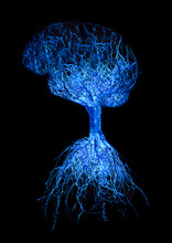 Concept Human Brain With Blue Glowing Connection Made From Roots Of Tree On Black Background.
