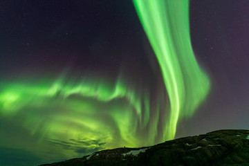 aurora borealis, northern lights in the north of norway above snowy hills