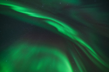 colorful northern light aurora borealis with purple, red, green and blu flames over the sky in iceland in a beach in