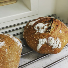 Loaf of round, crispy, freshly baked homemade bread