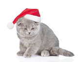 Fototapeta Koty - Gray cat wearing a red santa's hat sits and looks away and down. isolated on white background