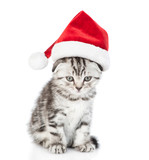 Fototapeta Koty - Sad tabby kitten wearing red santa's hat sits in front view and looks at camera. isolated on white background