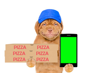 Poster - Smiling pizza delivery dog wearing blue cap holds pizza boxes and shows empty screen of a smartphone. isolated on white background