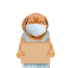 Wall Mural - Puppy wearing medical protective mask and overalls holds big box. isolated on white background