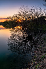 Wall Mural - Tree by the lake at sunset