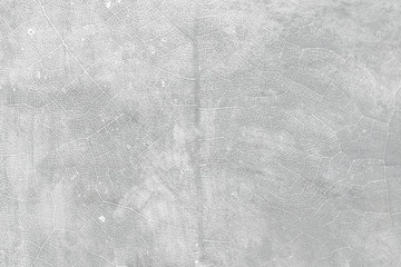 Wall Mural - gray star gooseberry leaf textured macro background