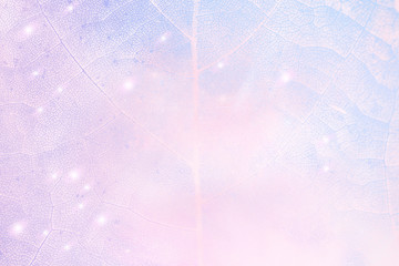 Wall Mural - pastel leaf pattern textured backdrop
