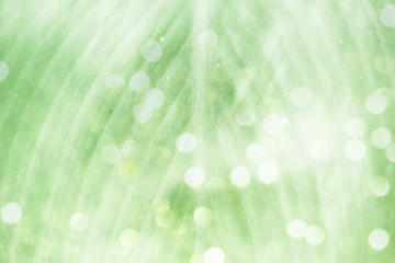 Wall Mural - green leaf pattern textured backdrop