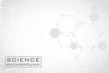 Wall Mural - gray science background with lines structures