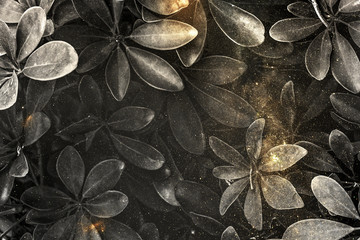Wall Mural - dark gray dwarf umbrella tree with golden glitter background