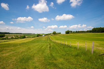 Wall Mural - rural landscape with green field, barns and blue sky