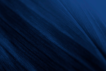 Wall Mural - textured dark blue background