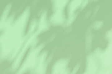 Wall Mural - plant shadow on a green background
