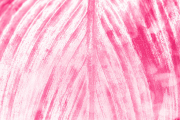 Wall Mural - magenta pink leaf textured magenta background