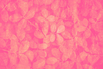 Wall Mural - peach pink leaves pattern on a hot pink background