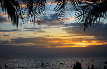 Wall Mural - Summer tropical beach sunset with palm tree leaves silhouette for vacation,weekend on summer season holiday
