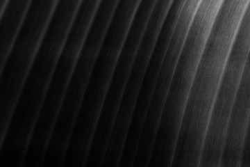 Wall Mural - dark banana leaf patterned background