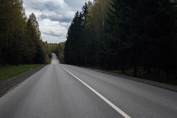 paved road in a traditional Russian forest of spruce and birch