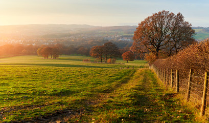 Poster - sunset over farmland and trees in autumn with golden brown leaves on the trees in england, uk.