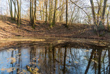 Fototapeta Las - small lake with trees and sky mirroring on waterground during beautiful springtime day