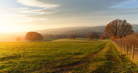 Poster - sunset over farmland, meadows and trees in autumn with golden brown leaves on the trees in england, 