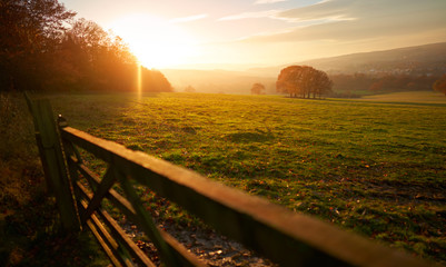 Poster - a closed gate at sunset over farmland, meadows and trees in autumn with golden brown leaves on the t