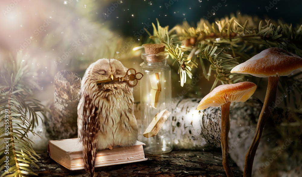 Fantasy wise sleeping owl is the keeper of secrets holds key to knowledge in beak in magical mysterious forest with magic mushrooms and books locked in glass bottle - obrazy, fototapety, plakaty 