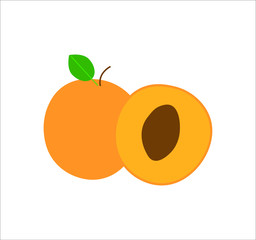 Wall Mural - apricot fruit. illustration for web and mobile design.