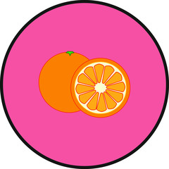 Wall Mural - Orange fruit. illustration for web and mobile design.