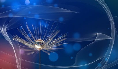 Wall Mural - abstract blurred nature background dandelion seeds parachute. abstract nature bokeh pattern