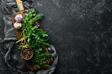 Fresh spices and herbs: green parsley and dill. Top view. Free space for your text.